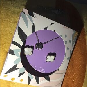 NIB earnings and necklace set